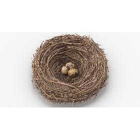 3D Bird Nest 03 With Quail Eggs model